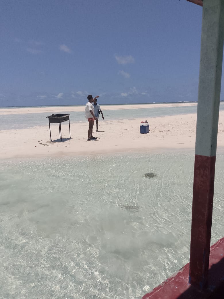 Mida Creek mangrove forests