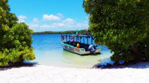 Mida Creek Kayaking Adventure in Kilifi County